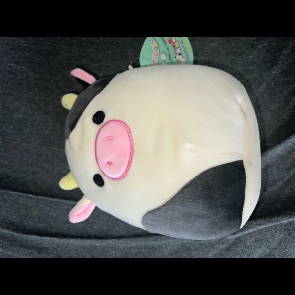 Connor 8” Squishmallow